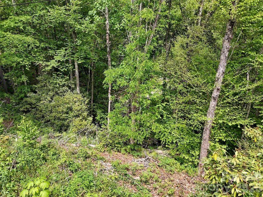00 Leatherwood Road Maggie Valley, NC 28751