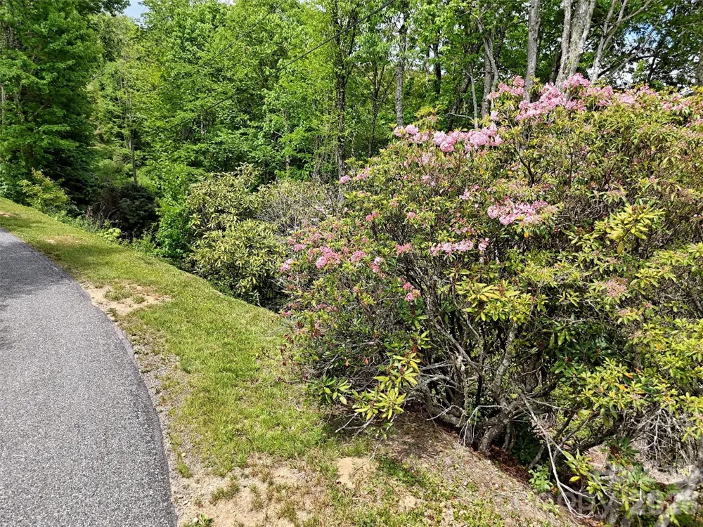 00 Leatherwood Road Maggie Valley, NC 28751