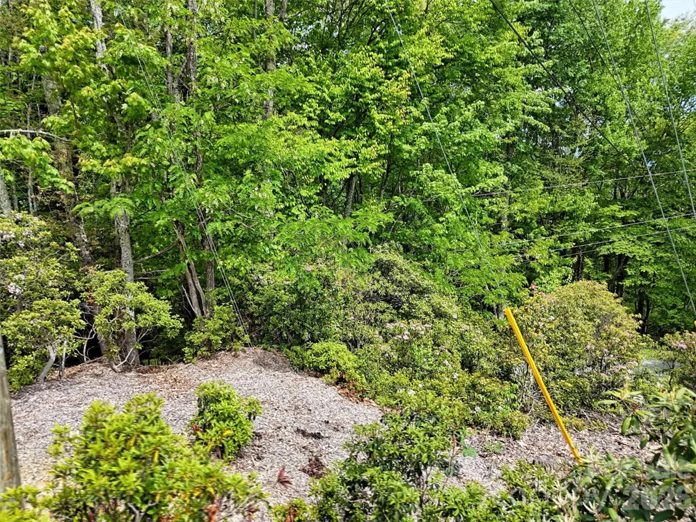 00 Leatherwood Road Maggie Valley, NC 28751