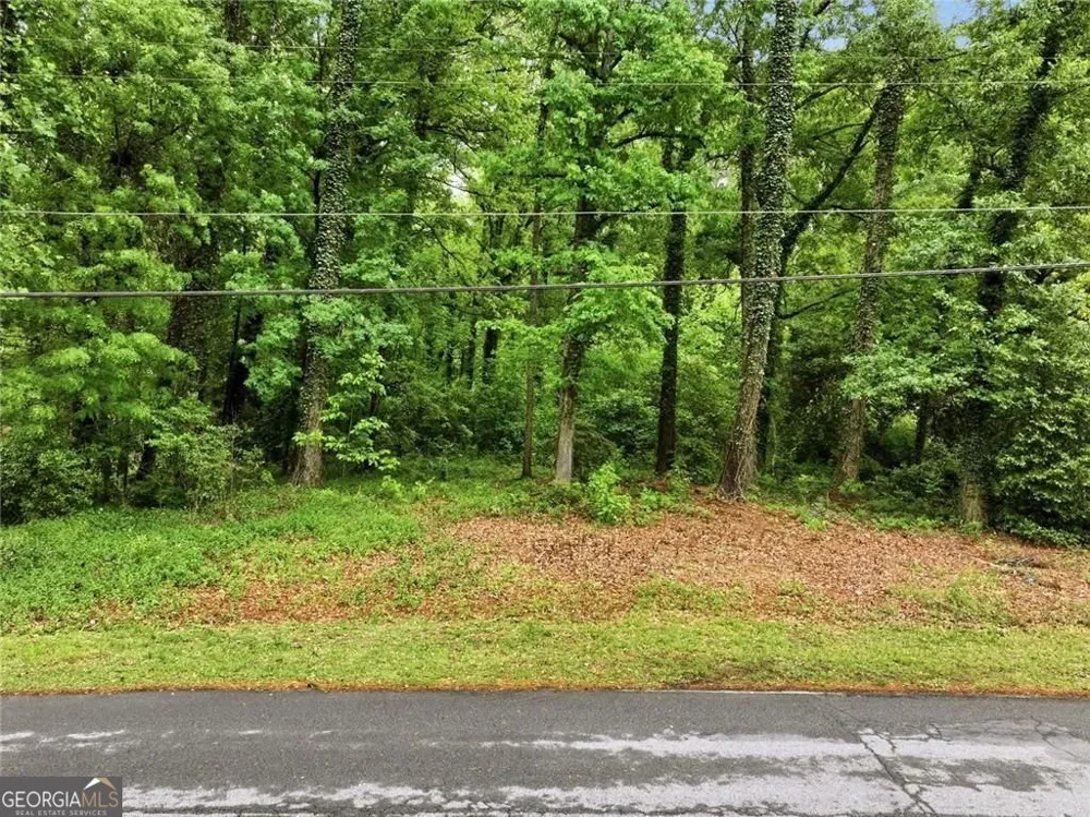 2569 Lake Capri DR Conyers, GA 30012