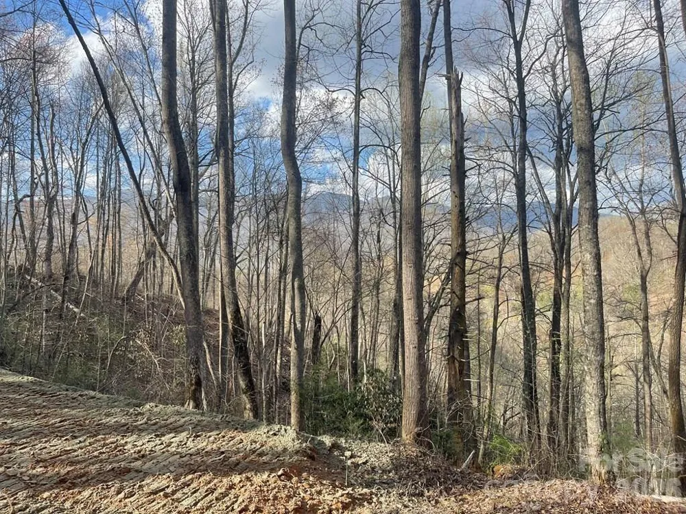 700 Copperhead Cove Sylva, NC 28779