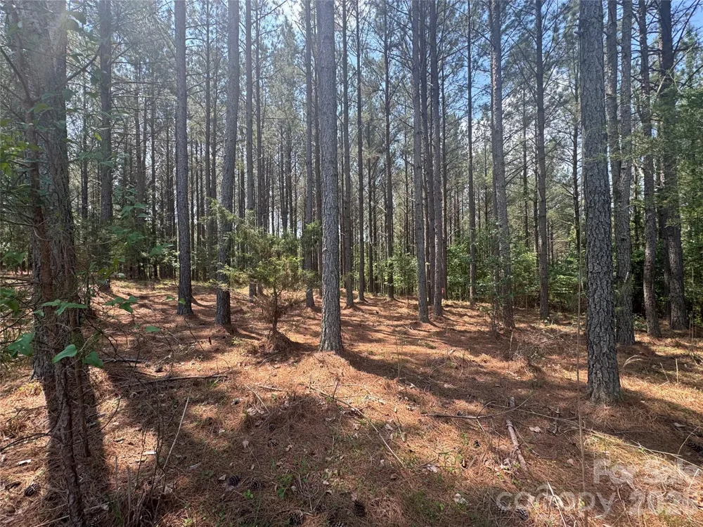 105 Stoney Brook Trail Mooresboro, NC 28114