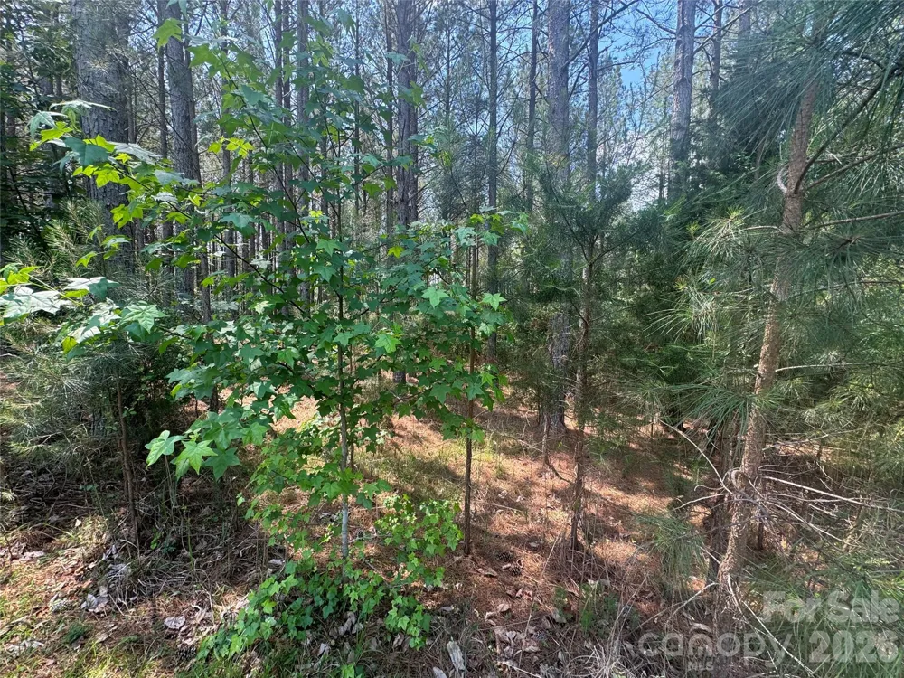 105 Stoney Brook Trail Mooresboro, NC 28114