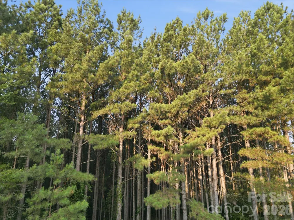 105 Stoney Brook Trail Mooresboro, NC 28114