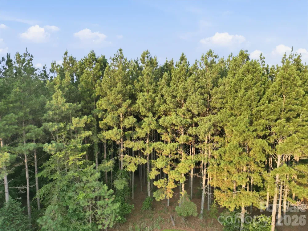 105 Stoney Brook Trail Mooresboro, NC 28114