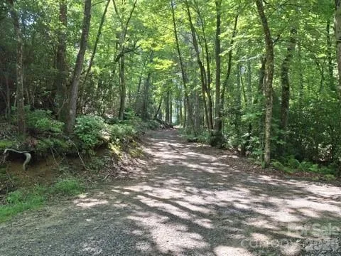 630 Shumont Road Black Mountain, NC 28711