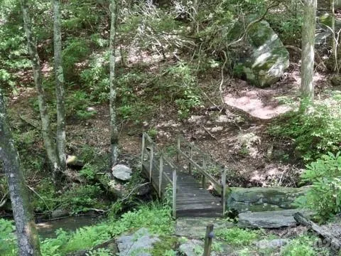 630 Shumont Road Black Mountain, NC 28711