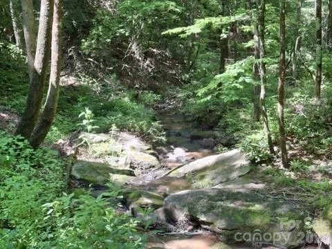 630 Shumont Road Black Mountain, NC 28711