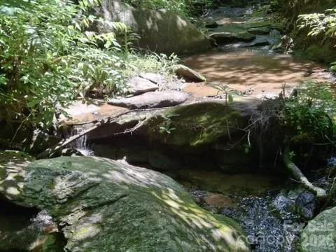 630 Shumont Road Black Mountain, NC 28711