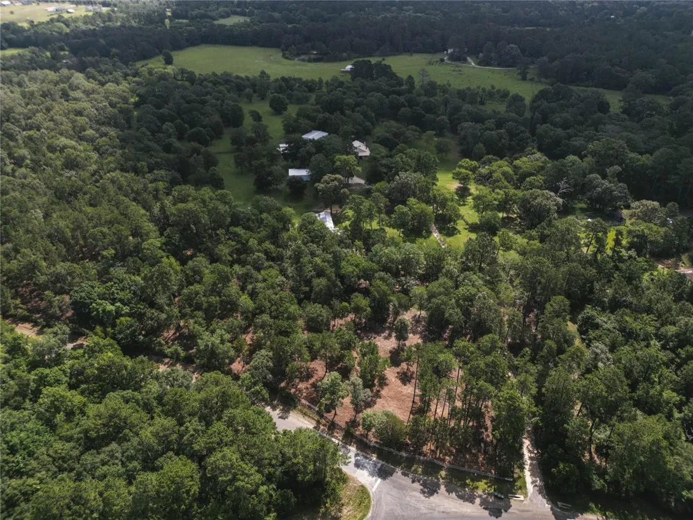 11041 Fm 1774 Plantersville, TX 77363