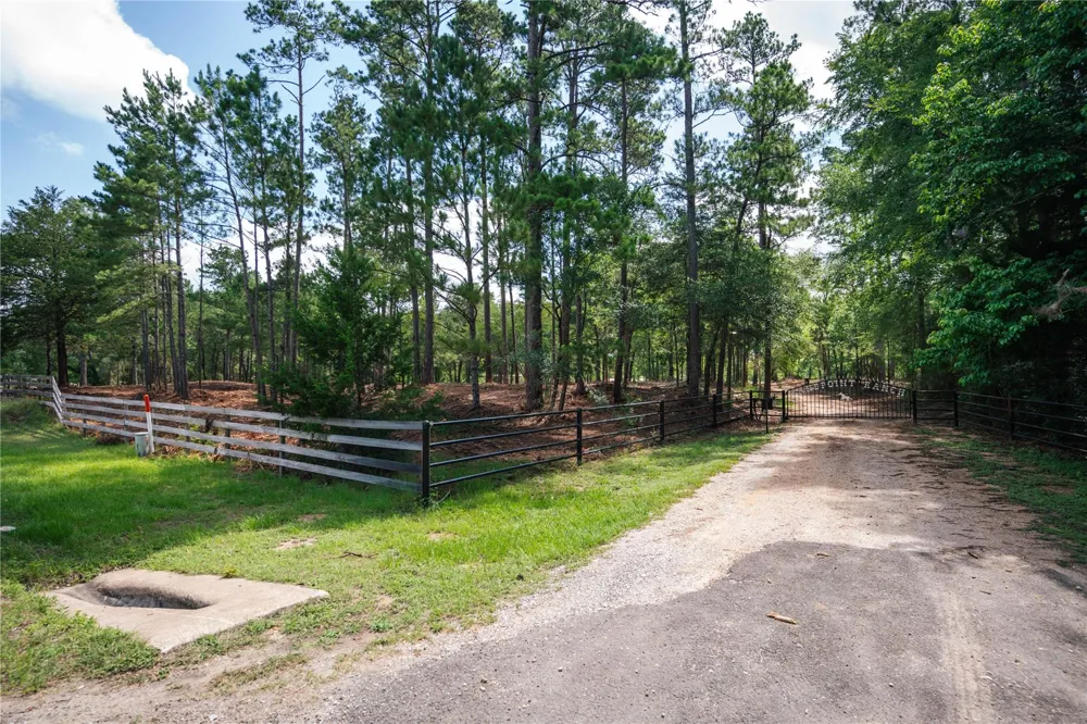 11041 Fm 1774 Plantersville, TX 77363