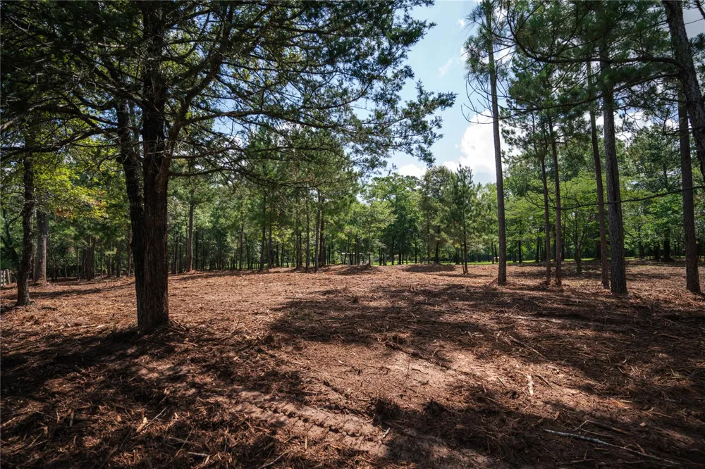 11041 Fm 1774 Plantersville, TX 77363