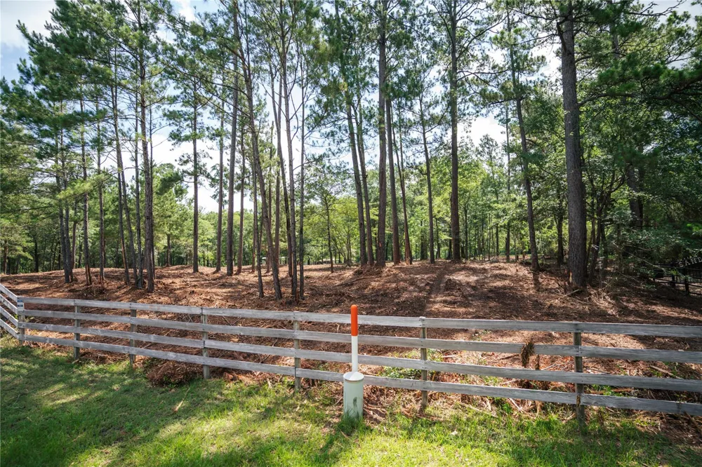 11041 Fm 1774 Plantersville, TX 77363
