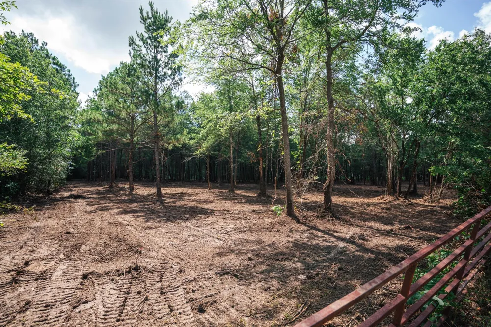 11041 Fm 1774 Plantersville, TX 77363