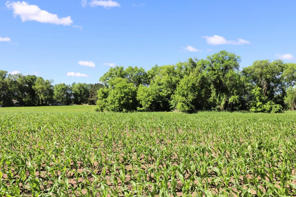 5320 County Road 6 Saint Cloud, MN 56301
