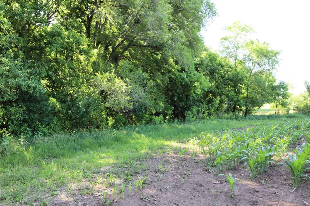 5320 County Road 6 Saint Cloud, MN 56301