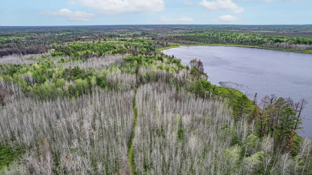 1249 Gabbro Road Brimson, MN 55602