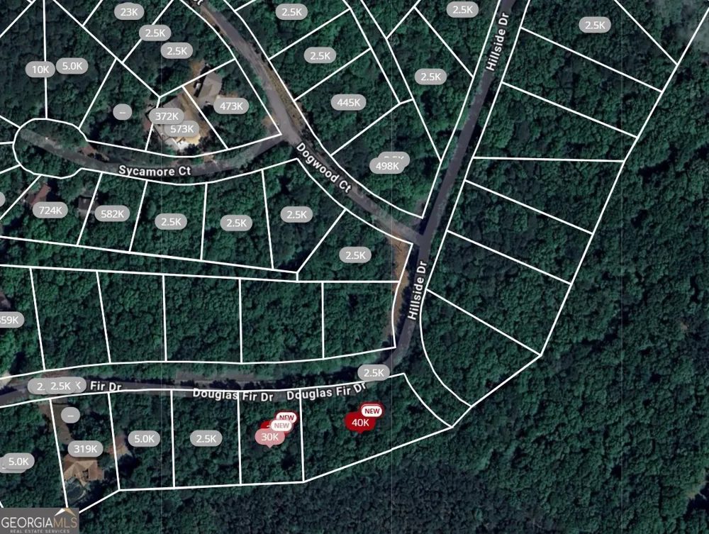 101 Douglas Fir DR Waleska, GA 30183
