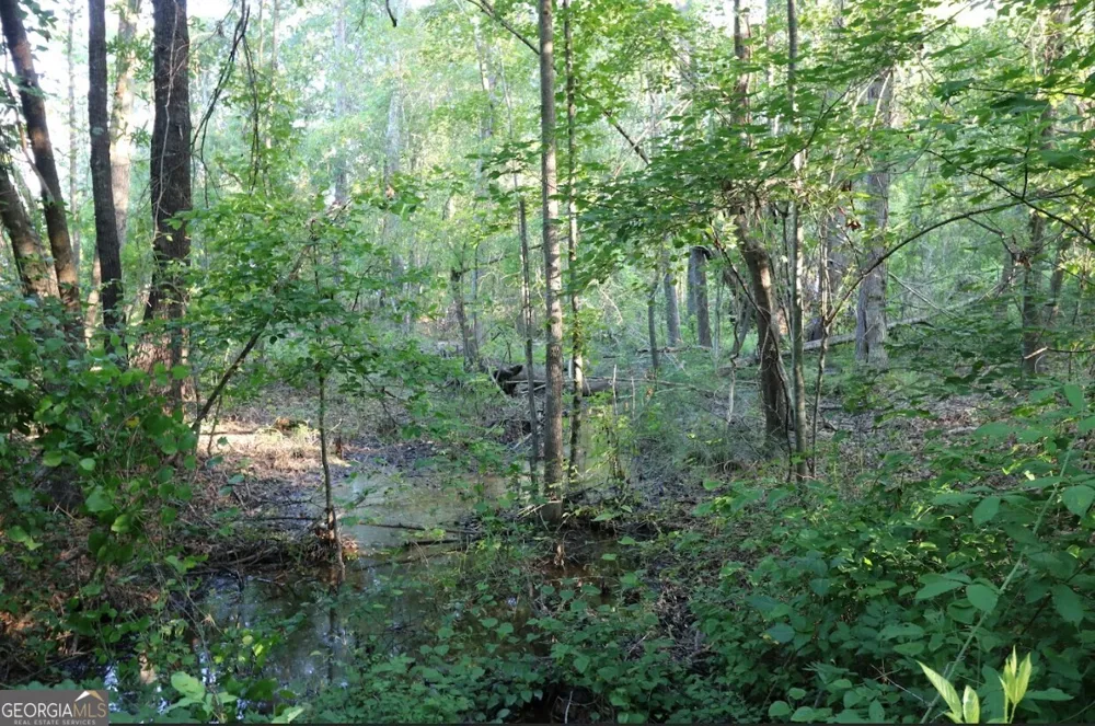 0 Kings Mill RD Wrens, GA 30833
