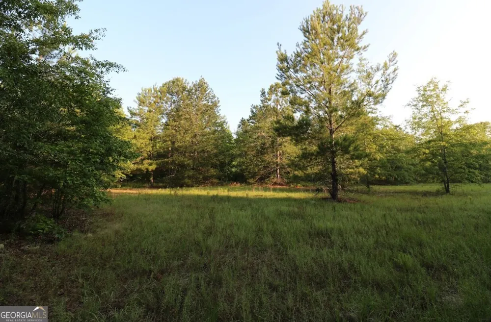 0 Kings Mill RD Wrens, GA 30833