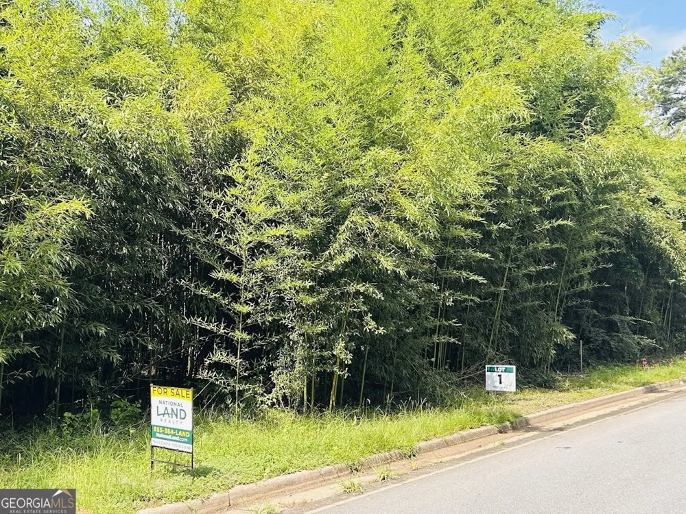 0 Kings Mill RD Wrens, GA 30833