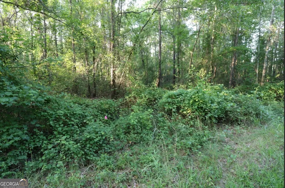 0 Kings Mill RD Wrens, GA 30833