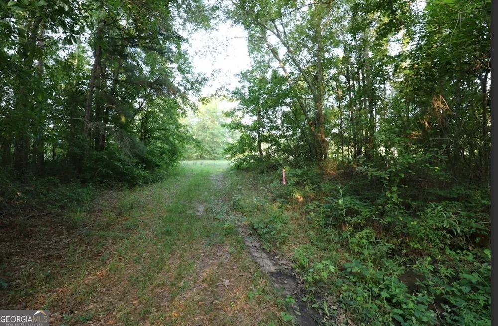 0 Kings Mill RD Wrens, GA 30833