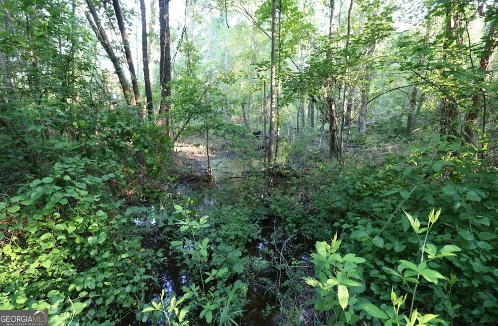 0 Kings Mill RD Wrens, GA 30833