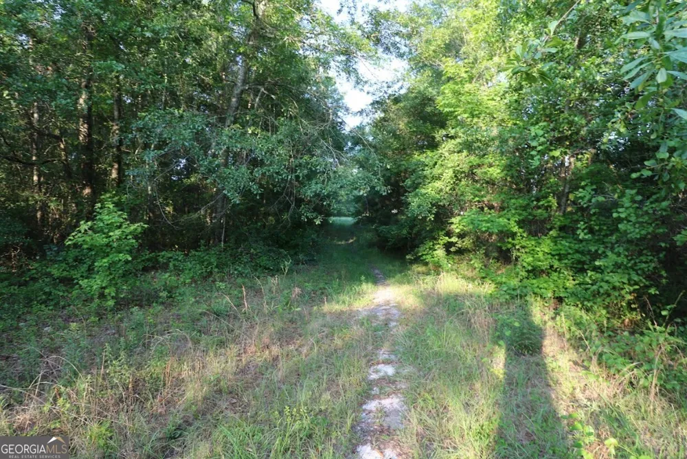 0 Kings Mill RD Wrens, GA 30833