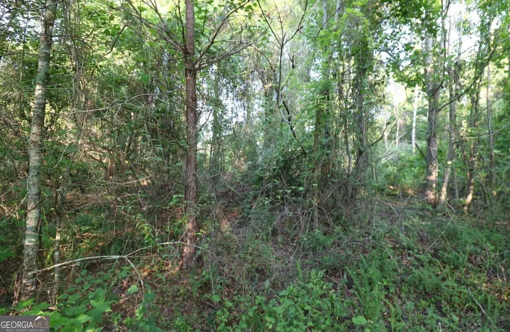 0 Kings Mill RD Wrens, GA 30833