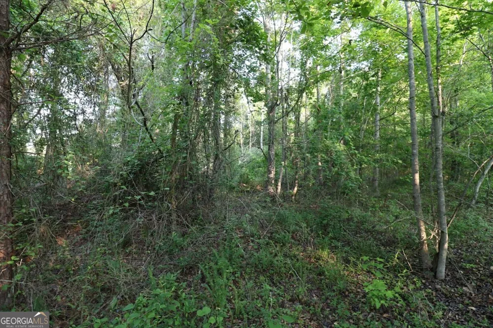 0 Kings Mill RD Wrens, GA 30833