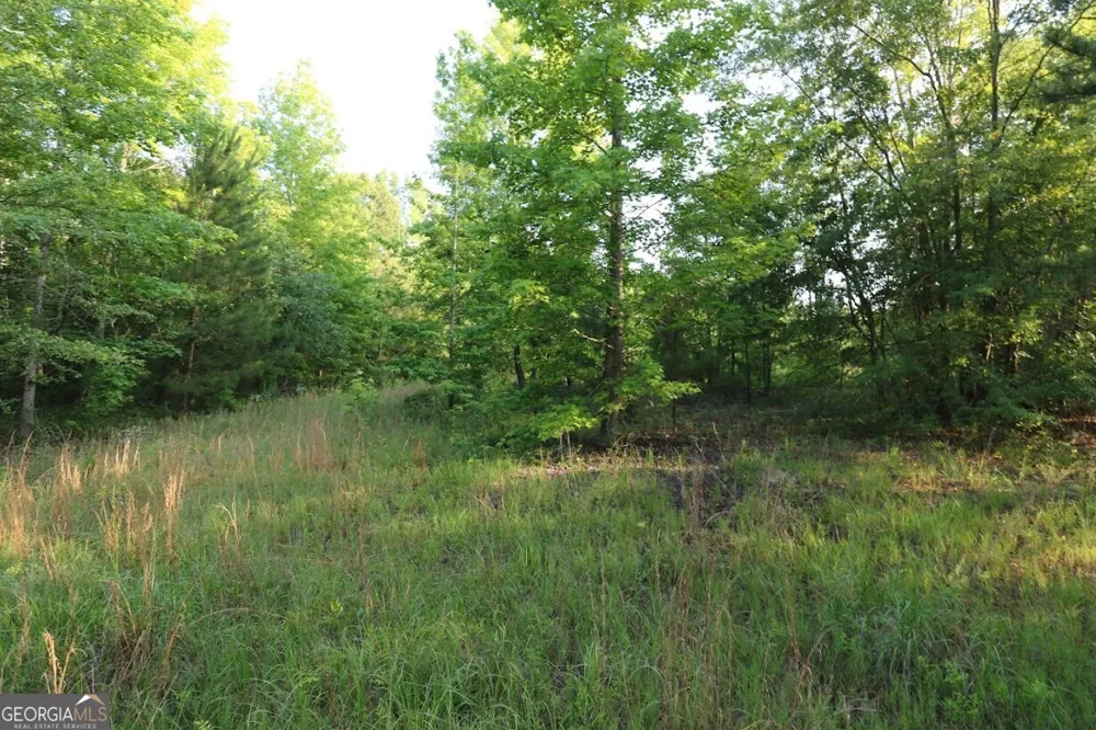 0 Kings Mill RD Wrens, GA 30833