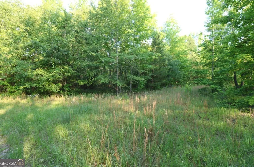 0 Kings Mill RD Wrens, GA 30833