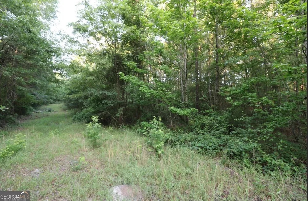 0 Kings Mill RD Wrens, GA 30833