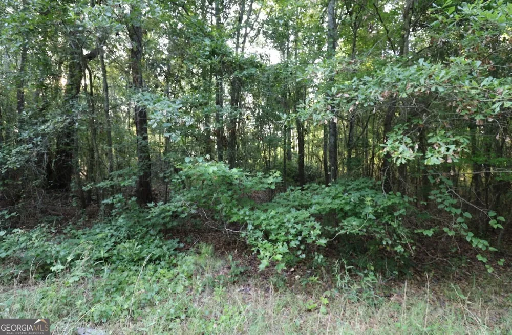 0 Kings Mill RD Wrens, GA 30833