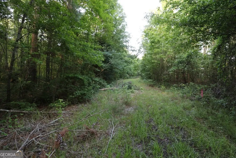 0 Kings Mill RD Wrens, GA 30833