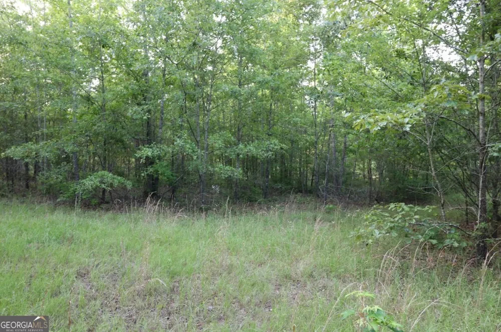 0 Kings Mill RD Wrens, GA 30833