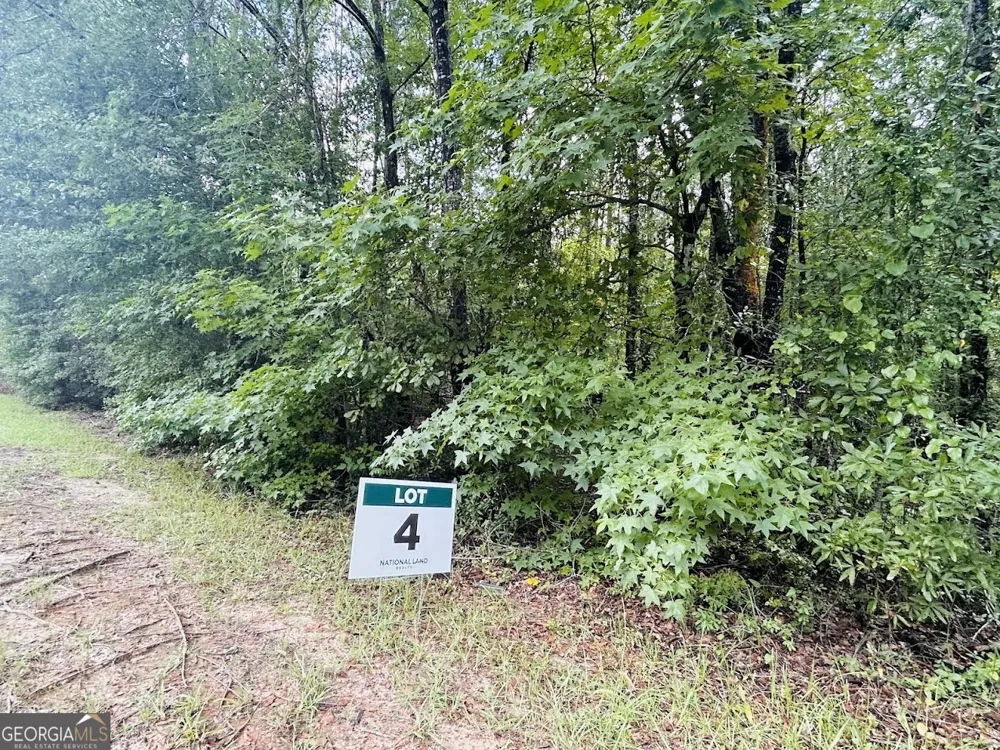 0 Kings Mill RD Wrens, GA 30833