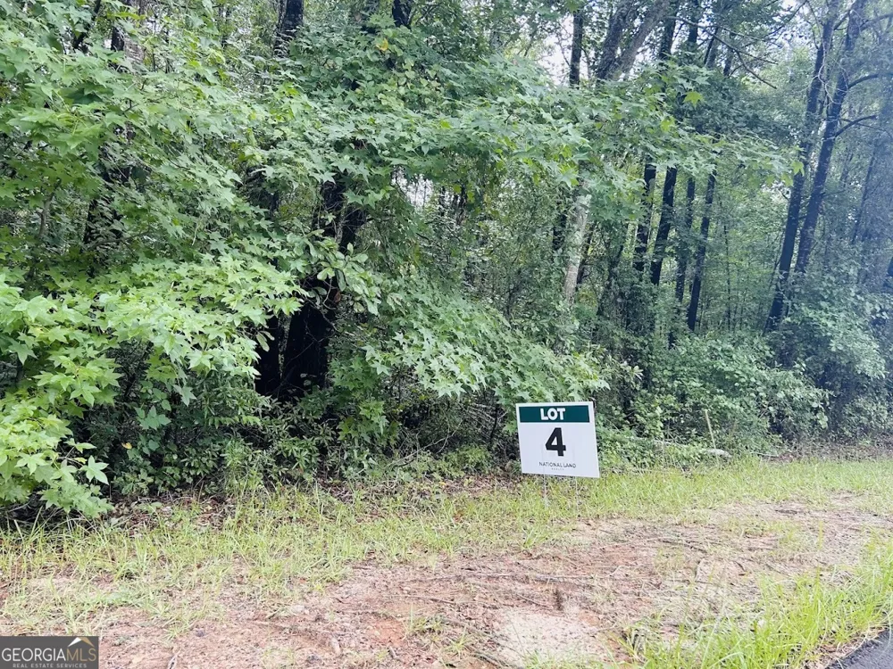0 Kings Mill RD Wrens, GA 30833