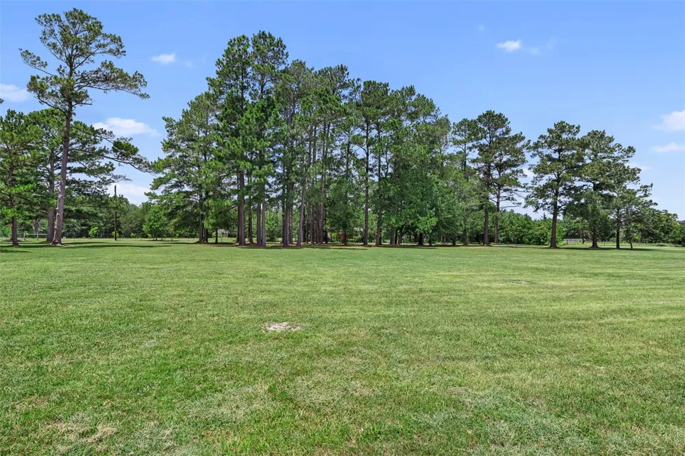 237 Morgan Road Bedias, TX 77320