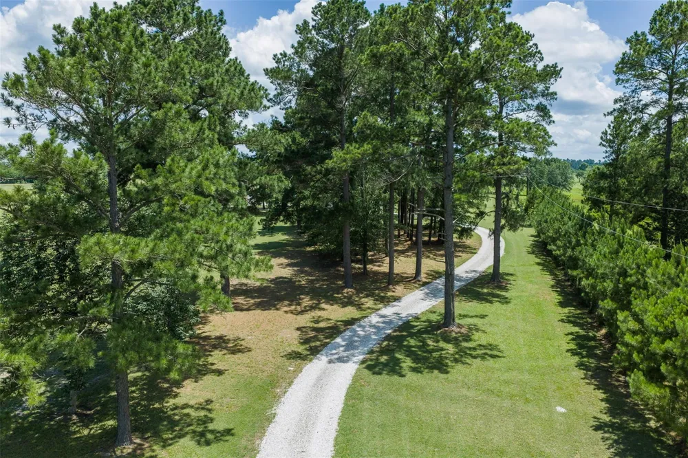237 Morgan Road Bedias, TX 77320