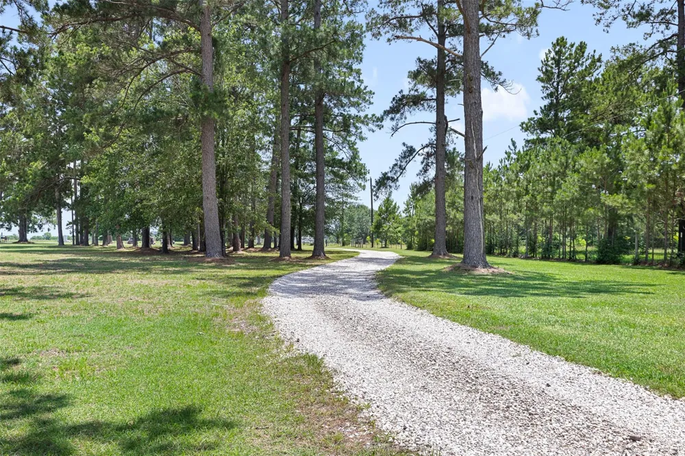 237 Morgan Road Bedias, TX 77320
