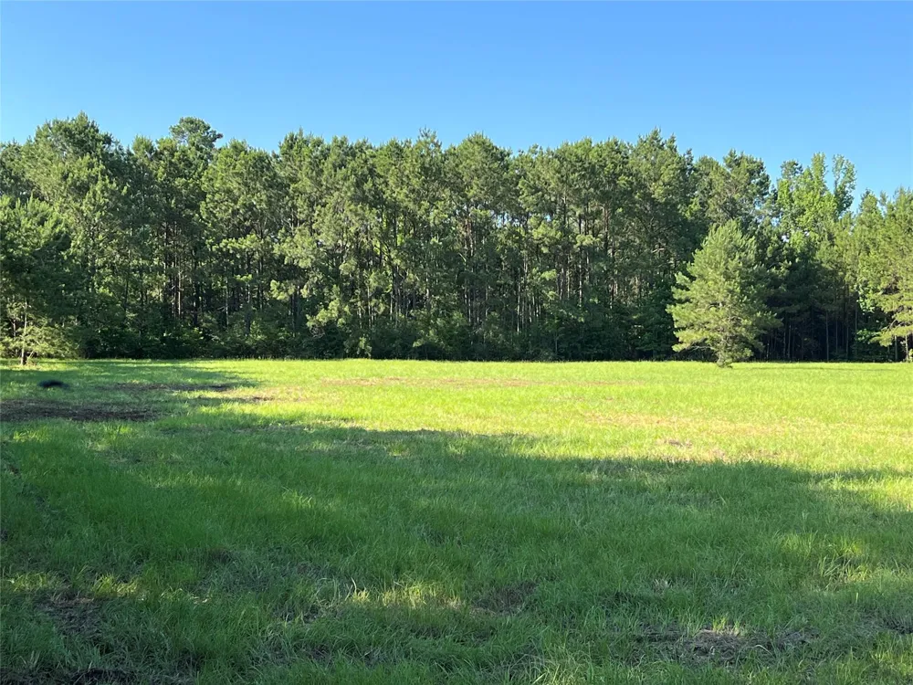 Cravens Camp Rd Road Silsbee, TX 77656