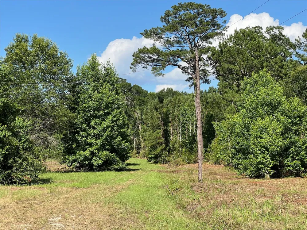 Cravens Camp Rd Road Silsbee, TX 77656