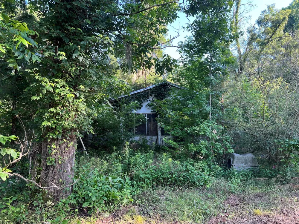 Cravens Camp Rd Road Silsbee, TX 77656