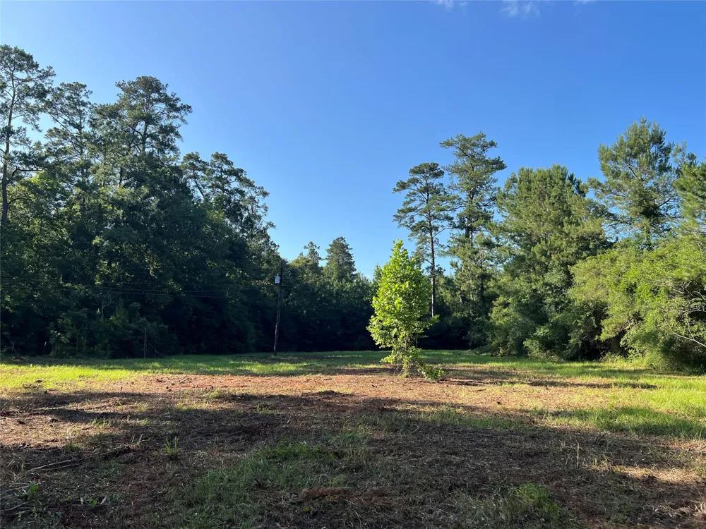 Cravens Camp Rd Road Silsbee, TX 77656