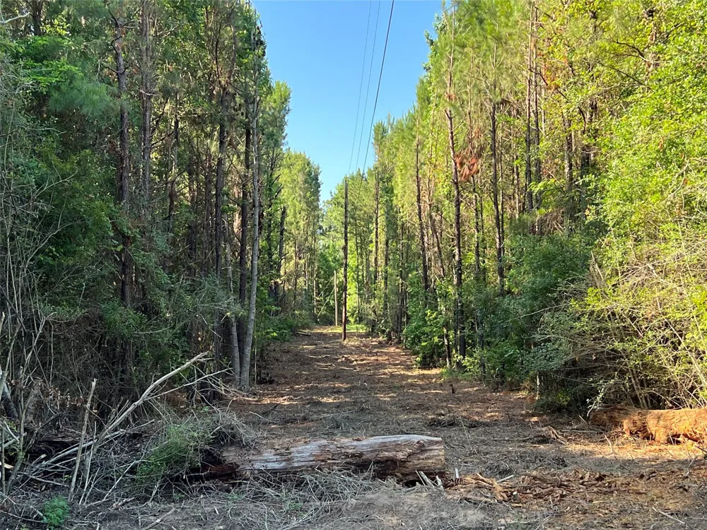 Cravens Camp Rd Road Silsbee, TX 77656