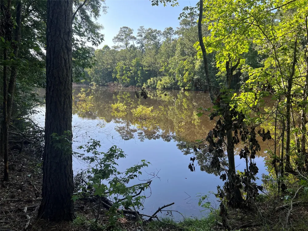 Cravens Camp Rd Road Silsbee, TX 77656