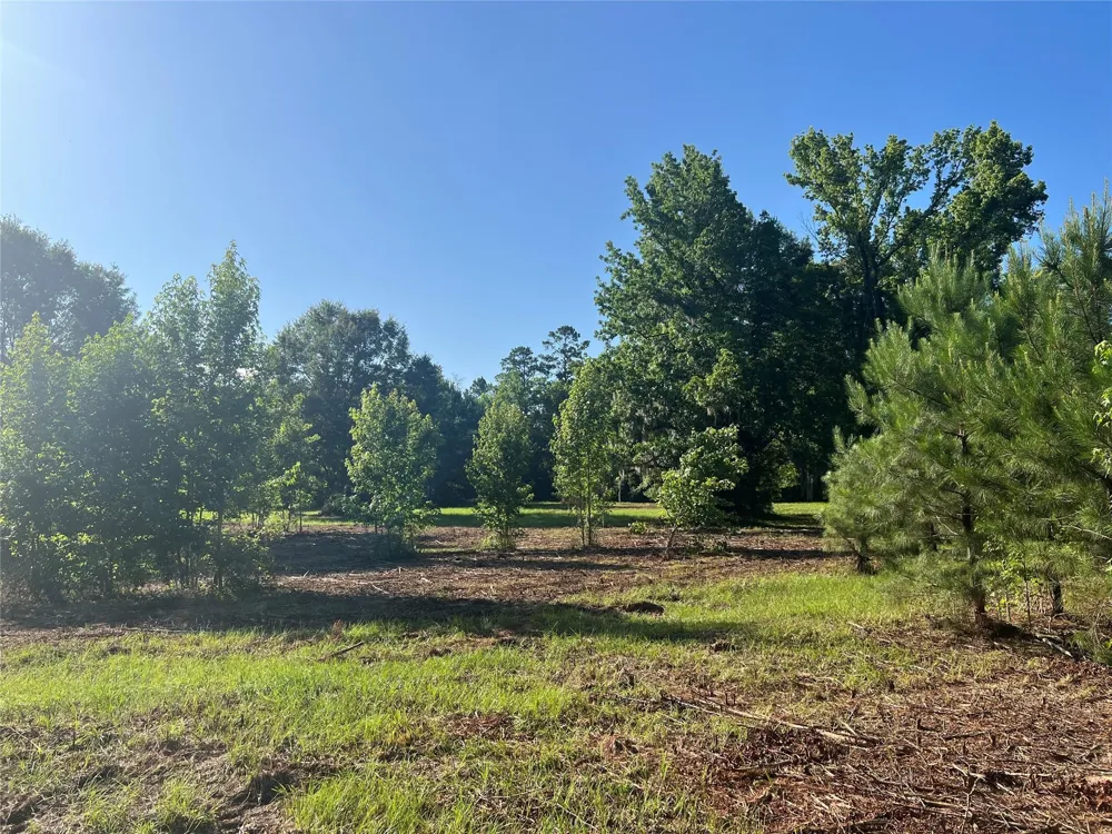 Cravens Camp Rd Road Silsbee, TX 77656
