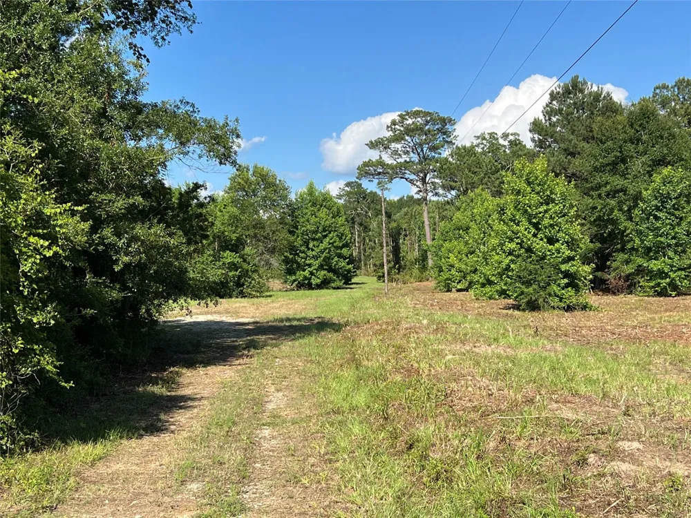 Cravens Camp Rd Road Silsbee, TX 77656